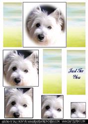 Westie