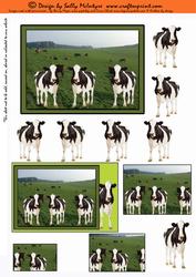 Cowtastic for the Farm Fanatic