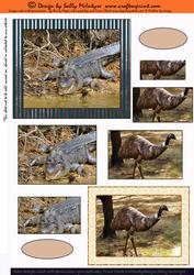 Crocs and Emus