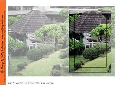 Japanese Garden Insert Ot Quick Print and Fold Card