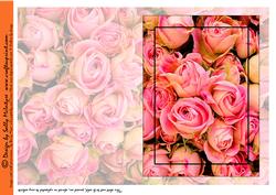 Pink Roses Insert or Quick Print and Fold Card