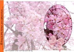 Blossom and Bows Insert or Quick Print and Fold Card