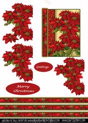 Poinsettia Fancy