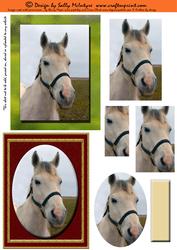 Horsing Around 2 Card Sheet