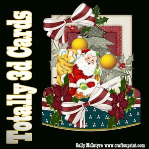 Totally 3D Santas Coming with Instructions