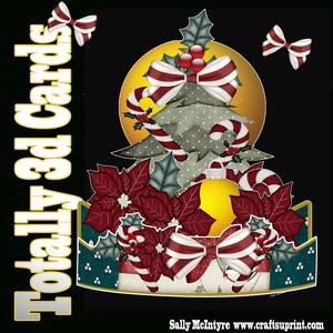 Totally 3D Poinsettia Xmas