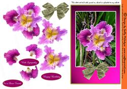 For a Dear Friend Beautiful Iris