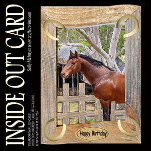 Inside Out Card Hoses in Barn