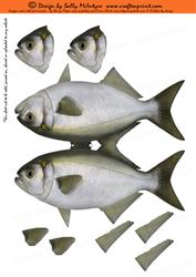 Tailor Fish Shaped Card with 3D Elements