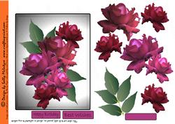 Cerise Rose with Silver Background Step by Step