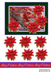 Berries and Poinsettias