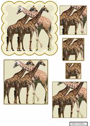 Animals of Africa