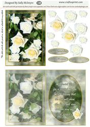 A Special Day with Insert and Verse Suit Birthday Wedding