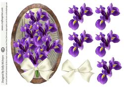 Purple Iris with 3D