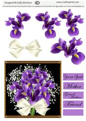 Purple Iris and Babys Breath You Are Special