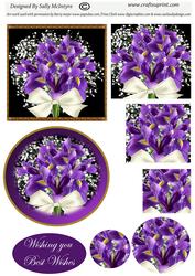 Purple Iris Square and Round Pyramid