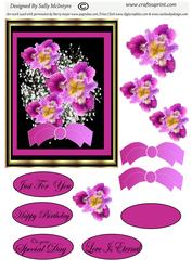Bright Pink Iris Black and Gold
