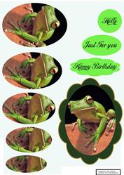 I Love Frogs