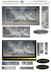 Wild Cat 2 Card Sheet Intertwined Pyramid
