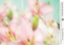 Background, Fantasy