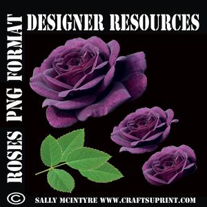 Deep Purple Rose Cut Out with Layers