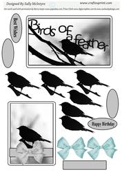 Birds of a Feather Black and White