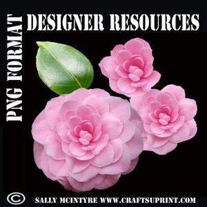Cut Out Camelia Pink 3 Stage Cut Out Designer Resource