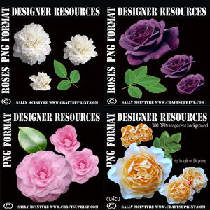 4 Different Cut Out Layered Flowers Transparent Background