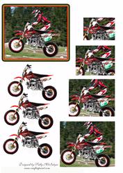 Dirt Bike Heaven