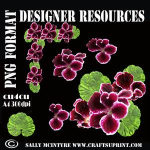 Black Pelergonium Designer Resource Layered,frame and Corner