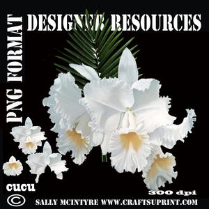 Orchid Layered Designer Resource Png Format