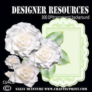 White Camelia with Card Face Plate