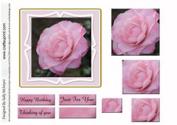 Pink Camelia Pyramid