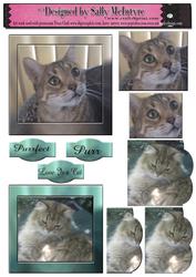 Just Purrfect Cats 2 Card Sheet