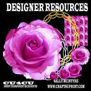 Triple Hot Pink Rose Single with Frames and Background