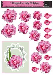 Build a Flower Double Peony Rose