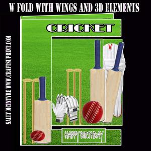 W Fold Cricket Card Easy