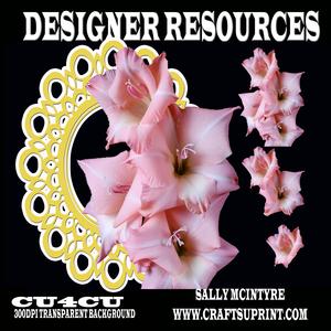 Gladioli Designer Resource 300dpi Png Format
