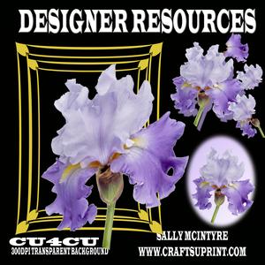 Lilac Iris 6 Layers Frame and Bground 300dpi Png