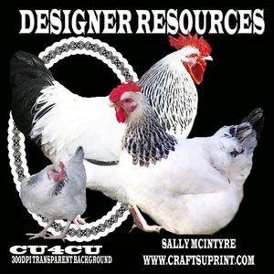 More Chooks Designer Resources 300dpi Png