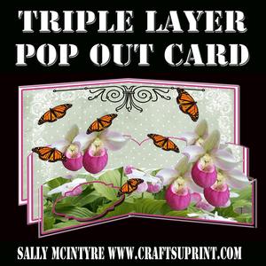 Triple Layer Ladies Slipper Orchid