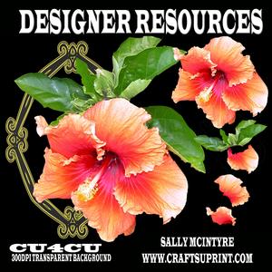 Hibiscus Designers Resources 300dpi Png