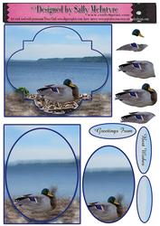 Mississippi Ducks 2 Card Sheet, Envelope to Match is Availab