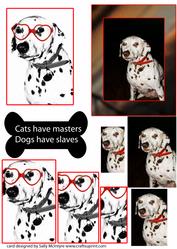 Dalmation Dog Cats Have Masters Dogs Have Slaves