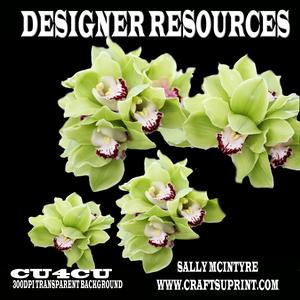 Green Orchids Designer Resource 300dp1
