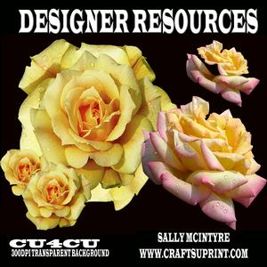 Yellow Rose Designer Resource 300dpi Png Format.zip