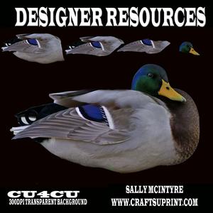 Promo Duck Layered Designer Resource Png