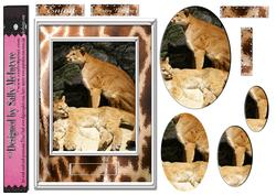 Out of Africa Cats