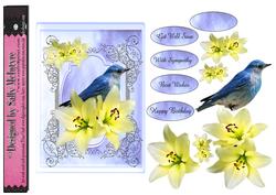 Blue Bird Multi Sentiment Step by Step