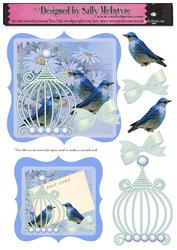 Ntage Blue Birds Card Blue and Insert or 2 Cards Your Choic
